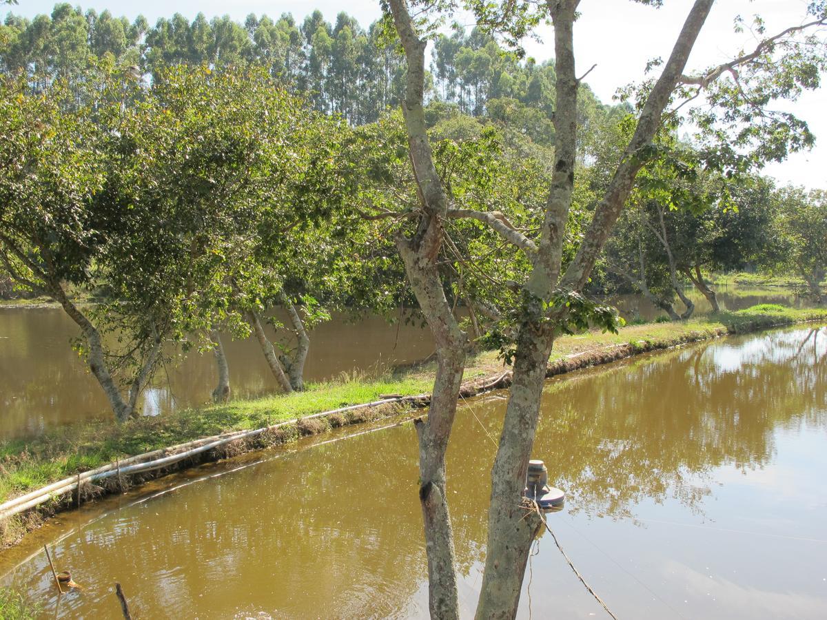 Arte De Minas Hotel Sao Goncalo do Sapucai Bagian luar foto